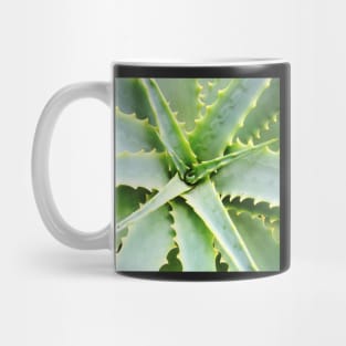 Plant print, Cactus print, Succulent, Scandinavian print, Trendy print, Styled, Pillow, Modern art, Wall art, Print, Minimalistic, Modern Mug